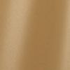 Gold Metallic Textured