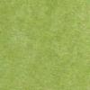 Acoustic - Apple Green 