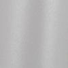 Exterior Gray RAL 9006