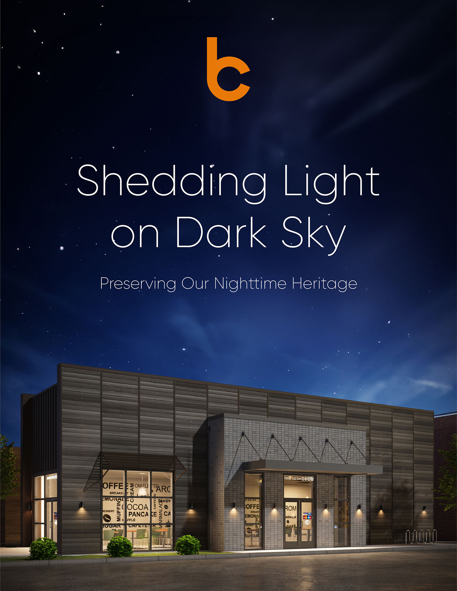 Shedding Light on Dark Sky
