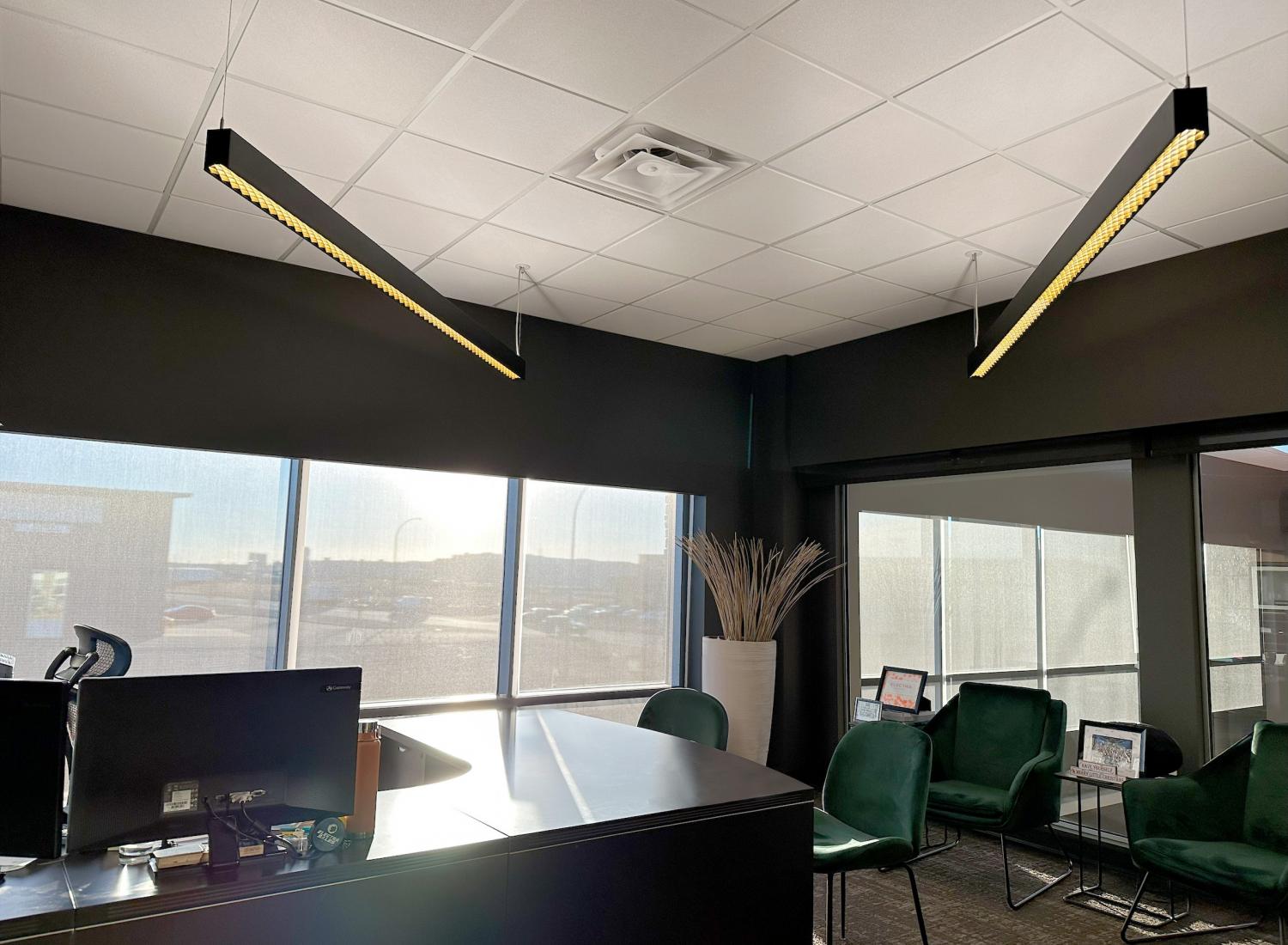 <p>OFFICE FEATURING LE LOUVRE SUSPENSION</p>